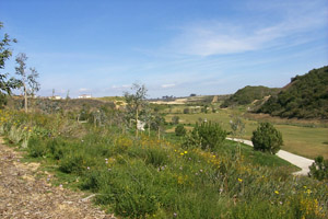 Carmel Valley 92130 Golf course